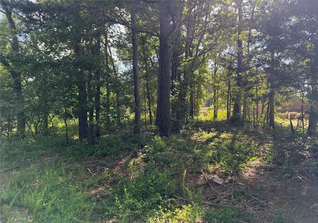 Homes for sale in Jasper, AR | Tbd Nc 2430, Jasper, AR 72641 | MLS# 1352670