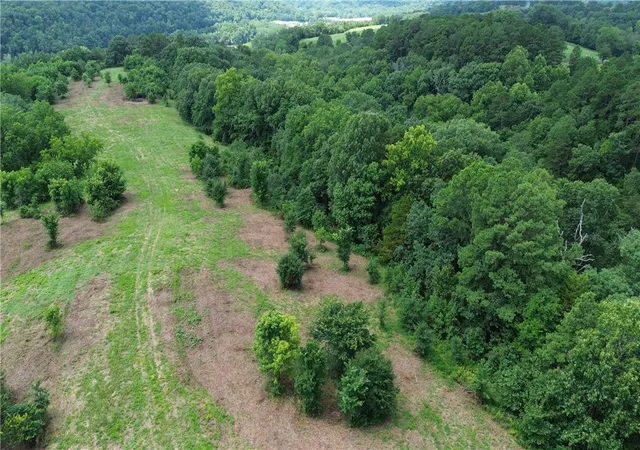 Homes for sale in Pineville, MO | 1029 Bear Hollow Rd, Pineville, MO 64856 | MLS# 1352468
