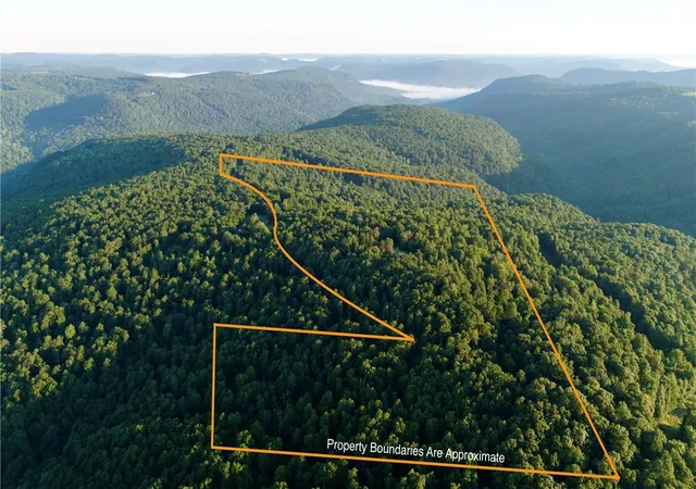 2nd image of Hc 31 Box 120 F, Jasper, AR 72641 | MLS# 1352748