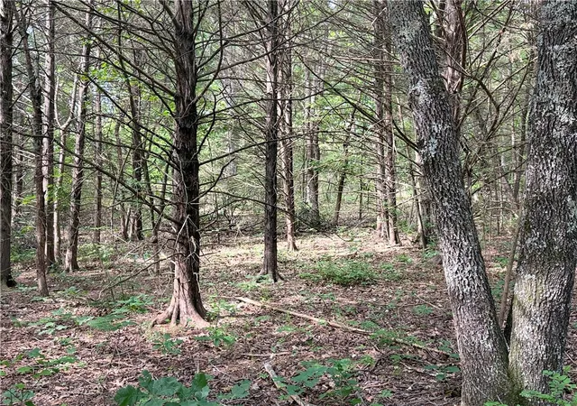 Photo 1 of Land for sale at Lot 10 Seaton Dr, Bella Vista, AR 72714 | MLS# 1352780 | Listing updated on 2026-10-04