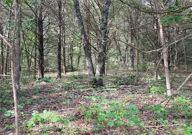 Photo 2 of Land for sale at Lot 10 Seaton Dr, Bella Vista, AR 72714 | MLS# 1352780 | Listing updated on 2026-10-04