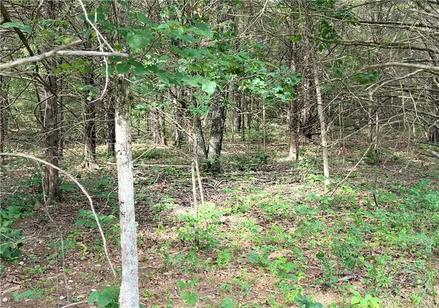 Photo 3 of Land for sale at Lot 10 Seaton Dr, Bella Vista, AR 72714 | MLS# 1352780 | Listing updated on 2026-10-04