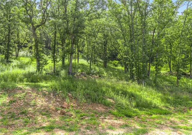 Homes for sale in Harrison, AR | Lot 62 Restore Ridge, Harrison, AR 72601 | MLS# 1352128