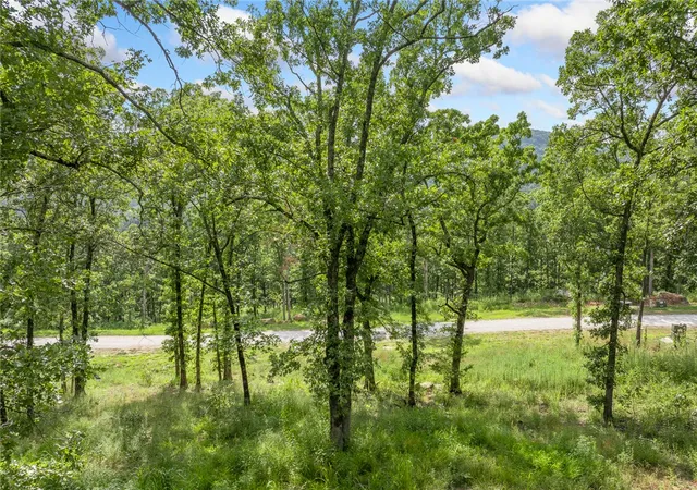 Homes for sale in Harrison, AR | Lot 62 Restore Ridge, Harrison, AR 72601 | MLS# 1352128