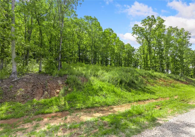 Homes for sale in Harrison, AR | Lot 64 Restore Ridge, Harrison, AR 72601 | MLS# 1352132