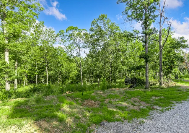 Homes for sale in Harrison, AR | Lot 75 Restore Ridge, Harrison, AR 72601 | MLS# 1352140