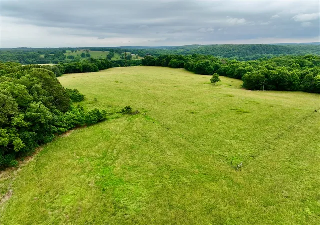 41st image of 15196 Cincinnati Creek Rd, Summers, AR 72769 | MLS# 1352855