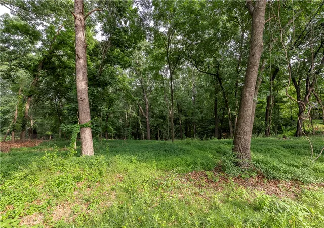 Homes for sale in Rogers, AR | Lot 111 E Woodside Ln, Rogers, AR 72756 | MLS# 1352726