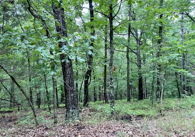Homes for sale in Eureka Springs, AR | Tbd Passion Play Rd, Eureka Springs, AR 72632 | MLS# 1352830