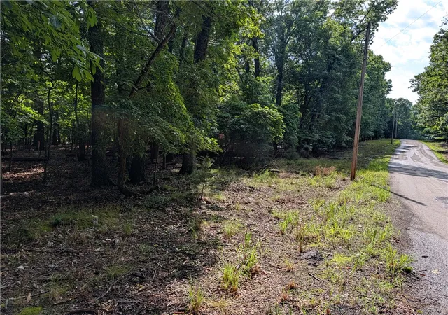 Homes for sale in Yellville, AR | 205 00001 009 Mc 8001 Rd, Yellville, AR 72687 | MLS# 1352926