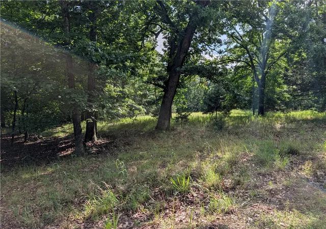 Homes for sale in Yellville, AR | 205-00001-009 Mc 8001 Rd, Yellville, AR 72687 | MLS# 1352926