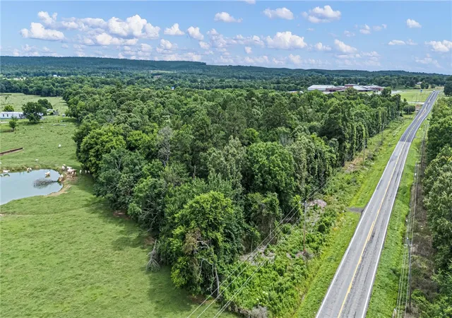 Homes for sale in Ola, AR | 0000 Ar 28, Ola, AR 72853 | MLS# 1353120
