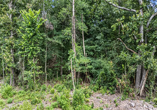 Homes for sale in Ola, AR | 0000 Ar-28, Ola, AR 72853 | MLS# 1353120