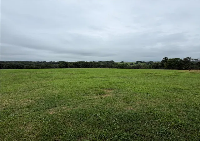Homes for sale in Berryville, AR | Tbd Cr 440, Berryville, AR 72616 | MLS# 1353137