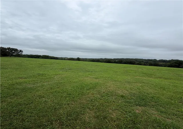 Homes for sale in Berryville, AR | Tbd Cr 440, Berryville, AR 72616 | MLS# 1353137