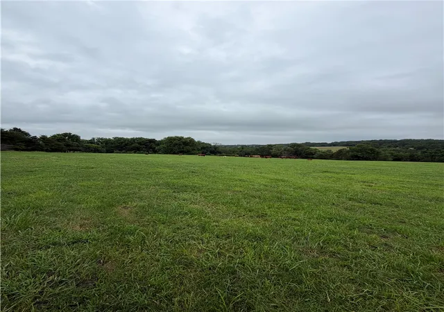 3rd image of Tbd Cr 440, Berryville, AR 72616 | MLS# 1353137
