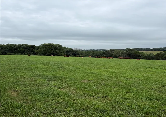 4th image of Tbd Cr 440, Berryville, AR 72616 | MLS# 1353137