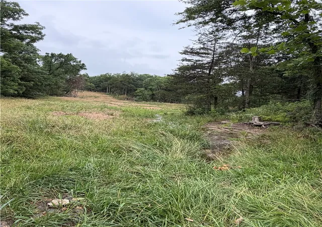 5th image of Tbd Cr 440, Berryville, AR 72616 | MLS# 1353137