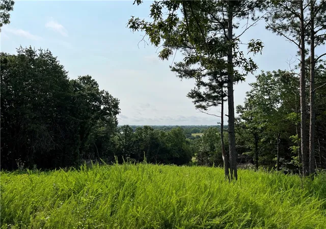 1st image of N Center Loop, Harrison, AR 72601 | MLS# 1353295