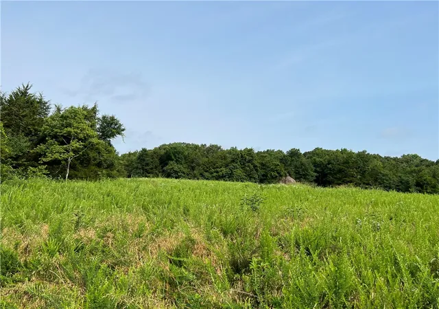 3rd image of N Center Loop, Harrison, AR 72601 | MLS# 1353295