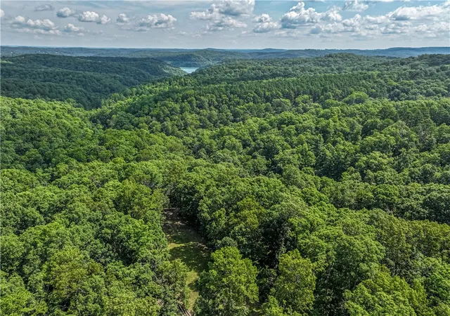 Homes for sale in Eureka Springs, AR | 1175 Cr 152, Eureka Springs, AR 72632 | MLS# 1353344