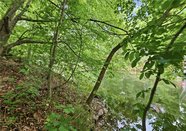 image of Tbd Llanon Dr, Bella Vista, AR 72714 | MLS# 1353230