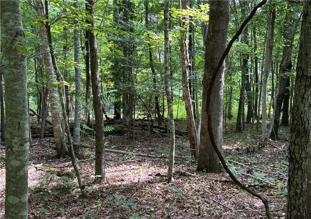 Photo 4 of Land for sale at Tbd W Tanyard Holw Rd, Bentonville, AR 72712 | MLS# 1353377 | Listing updated on 2026-06-26