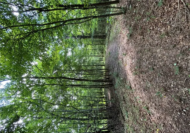 Photo 5 of Land for sale at Tbd W Tanyard Holw Rd, Bentonville, AR 72712 | MLS# 1353377 | Listing updated on 2026-06-26