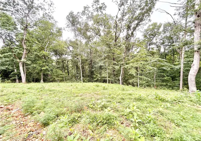 24th image of 20 Bridlington Dr, Bella Vista, AR 72714 | MLS# 1352804