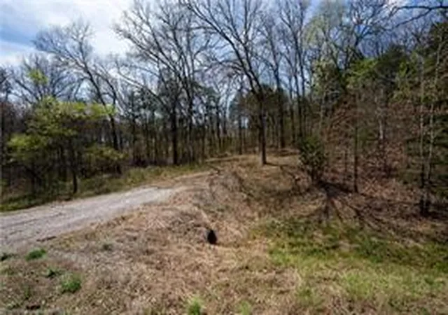 Photo 3 of Land for sale at Tbd Uniontown Hwy, Uniontown, AR 72955 | MLS# 1353491 | Listing updated on 2026-06-26