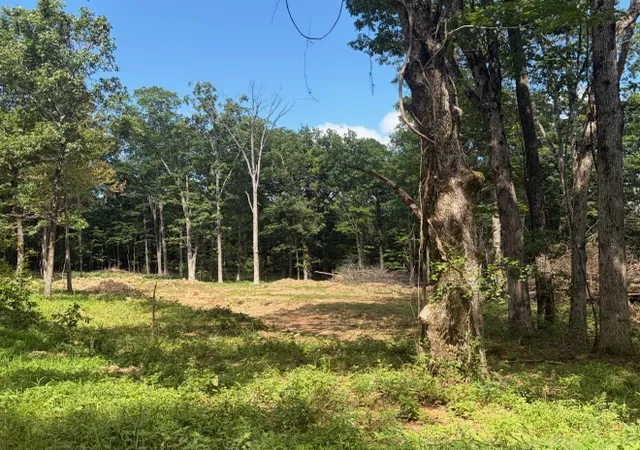 1st image of Tbd Freedom Rd, Winslow, AR 72959 | MLS# 1352658