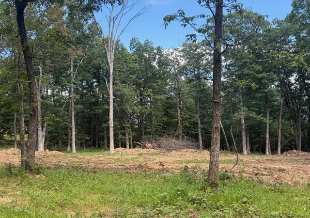 3rd image of Tbd Freedom Rd, Winslow, AR 72959 | MLS# 1352658