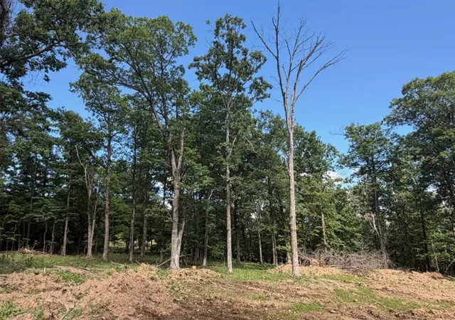 4th image of Tbd Freedom Rd, Winslow, AR 72959 | MLS# 1352658