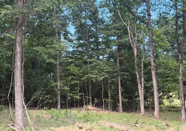 5th image of Tbd Freedom Rd, Winslow, AR 72959 | MLS# 1352658