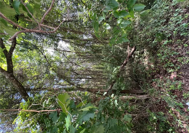2nd image of Tbd W Pine St, Lead Hill, AR 72644 | MLS# 1353708