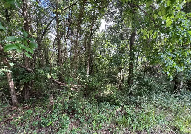3rd image of Tbd W Pine St, Lead Hill, AR 72644 | MLS# 1353708