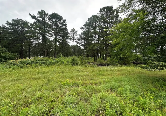 Homes for sale in Dover, AR | 355 Cedar Ridge Loop, Dover, AR 72837 | MLS# 1353691