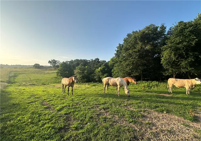 1st image of Tbd Madison 7615 Rd, Huntsville, AR 72740 | MLS# 1353641