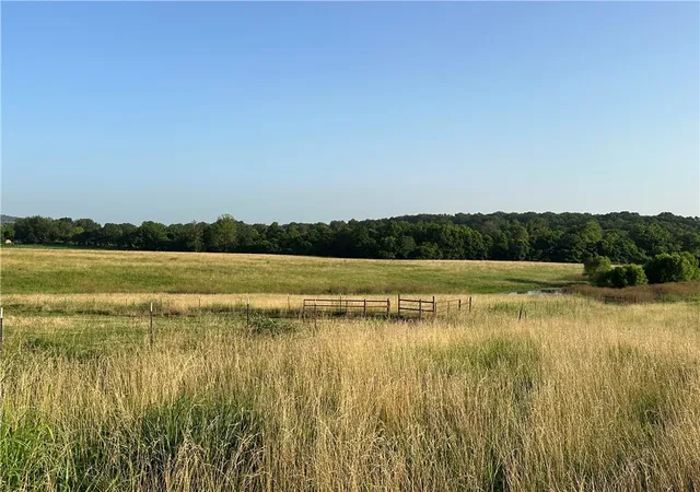 35th image of Tbd Madison 7615 Rd, Huntsville, AR 72740 | MLS# 1353641