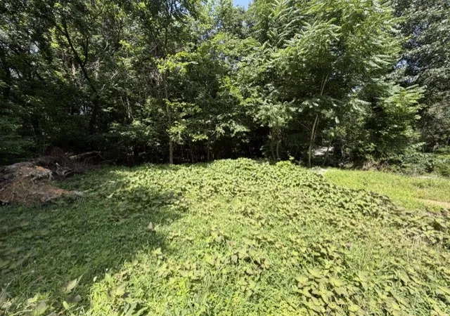 20th image of 17 Pine St, Bella Vista, AR 72714 | MLS# 1353854