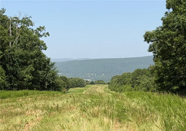 1st image of 001 Madison 3202, Huntsville, AR 72740 | MLS# 1353900