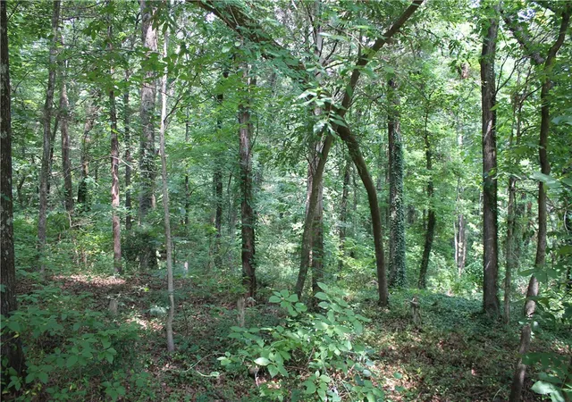 Photo 3 of Land for sale at Lots 42 & 43 Craigwood Cir, Russellville, AR 72801 | MLS# 1354126 | Listing updated on 2026-07-13