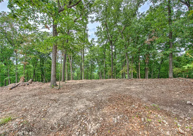 4th image of Lot 7 Eagle Cove Rd, Holiday Island, AR 72631 | MLS# 1353760
