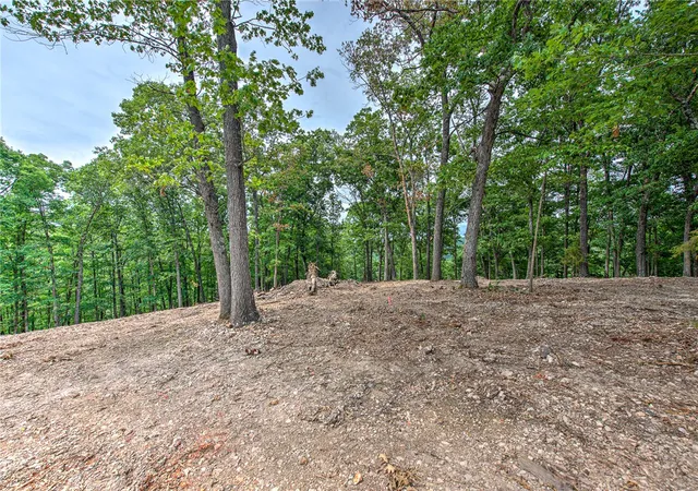 3rd image of Lot 8 Eagle Cove Rd, Holiday Island, AR 72631 | MLS# 1353761