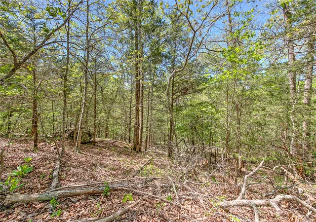 2nd image of Lot 15 Eagle Cove Rd, Holiday Island, AR 72631 | MLS# 1353788