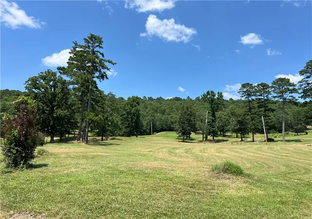 Homes for sale in Dardanelle, AR | 82 Bay Ridge Dr, Dardanelle, AR 72834 | MLS# 1354251