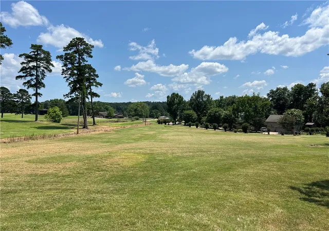 Homes for sale in Dardanelle, AR | 82 Bay Ridge Dr, Dardanelle, AR 72834 | MLS# 1354251