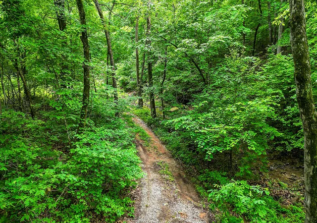 3rd image of Tbd 2134 Acres Cove Creek, Prairie Grove, AR 72753 | MLS# 1352546