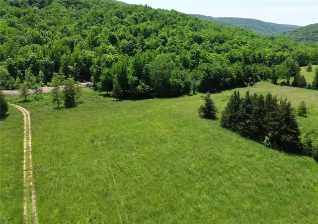 Homes for sale in Pettigrew, AR | 786 Acres Cr 6151, Pettigrew, AR 72752 | MLS# 1354400