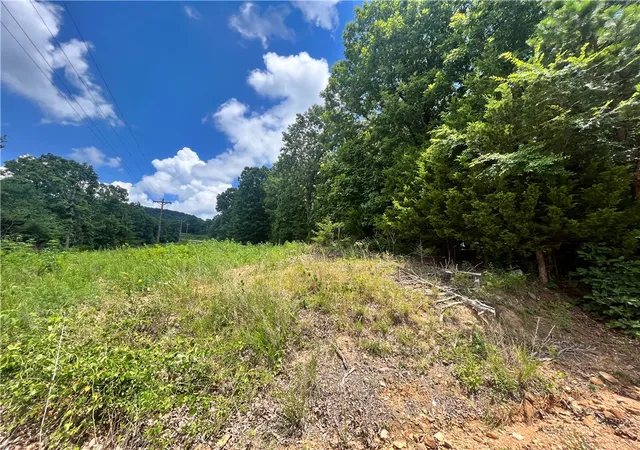 13th image of 00 Nc 4810, Mount Judea, AR 72655 | MLS# 1354547